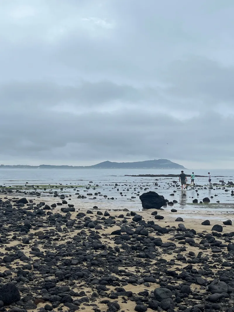 [Gujwa, Jeju] A guesthouse right in front of the sea with a view of Jongdal-ri Seongsan Sunrise Peak and Udo Island 29