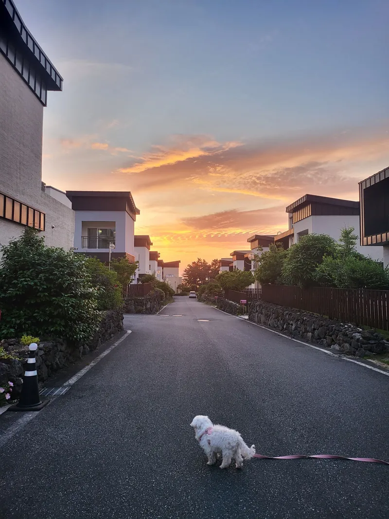 [제주 한림][제주 협재] 깨끗한 투룸 타운하우스 37