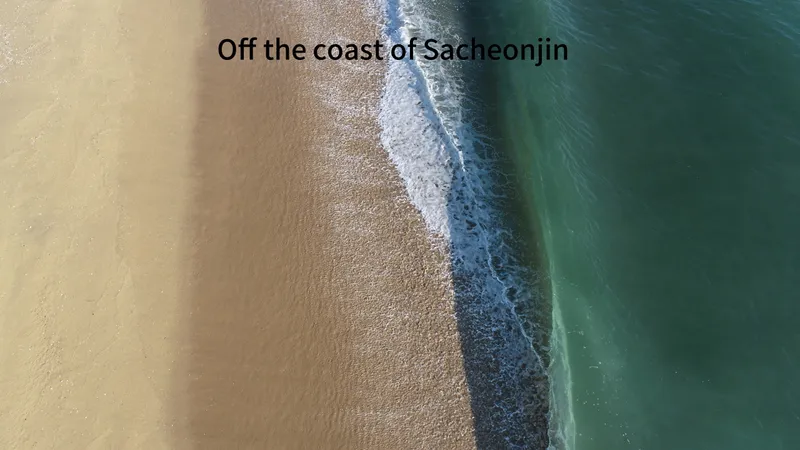 [Gangneung] A place where the sound of waves and the scent of coffee linger 41