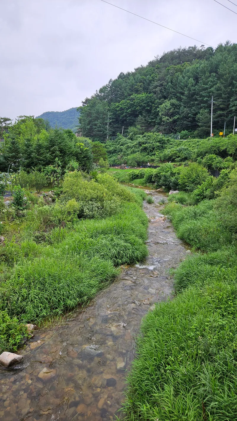 [Hongcheon] Independent house in the countryside #SaveMeHomes239 #Forest #Valley #Golf 43