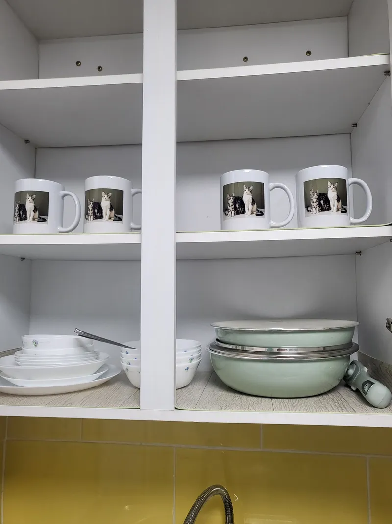 [Nowon, Seoul] 1 minute walk from Gongneung Station on Line 7, two-room #Pets allowed 21