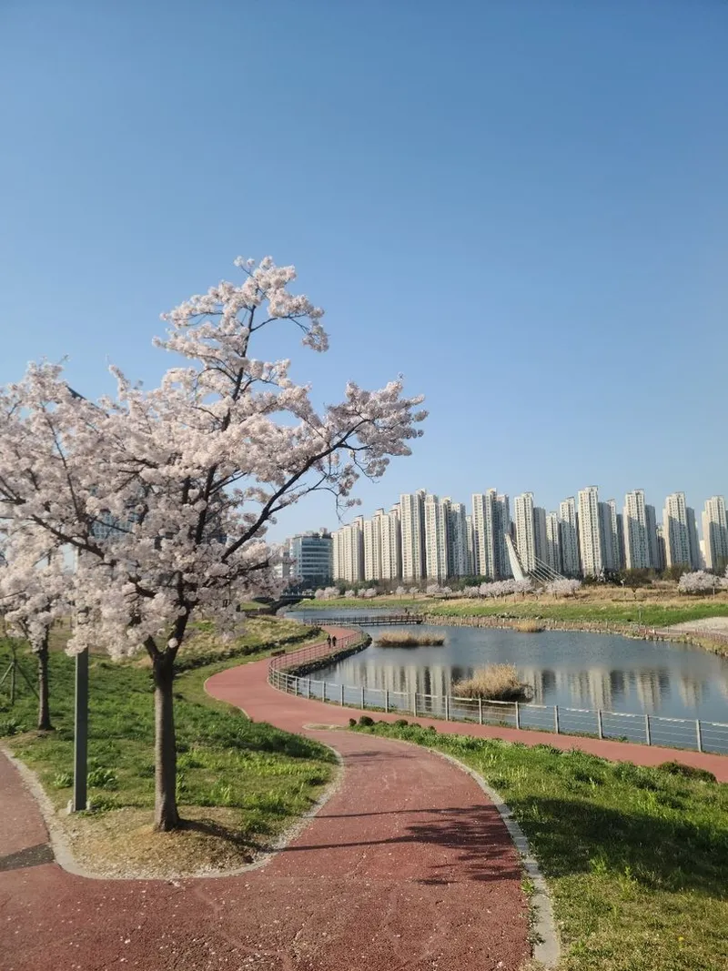 [경기 파주] 야당역 도보5분 복층 /조용한 휴식/ 깔끔 16