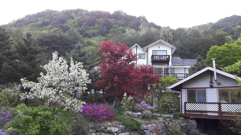 [강원 평창] 금당산자락 금당계곡 청정 고지대 휴양펜션: 레굴루스 13
