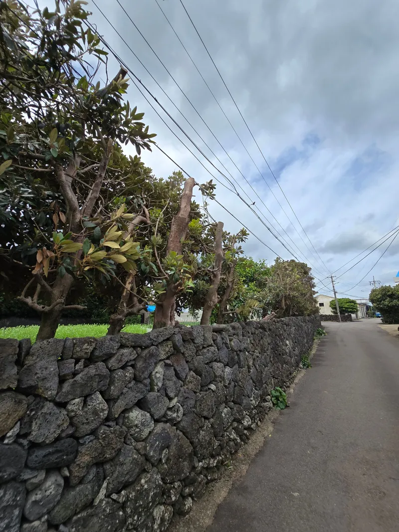 [Seongsan, Seogwipo][Seogwipo Shinsan] Accommodation with no utility bills and vehicle provided 200m from the beach 36