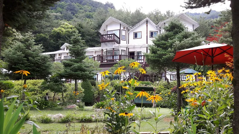 [Pyeongchang] Geumdangsan Mountainside Geumdang Valley Clean Highland Resort Pension: Azena 10
