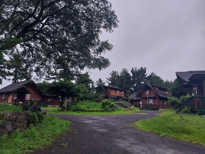 [Pyoseon, Seogwipo] Log cabin BB 4