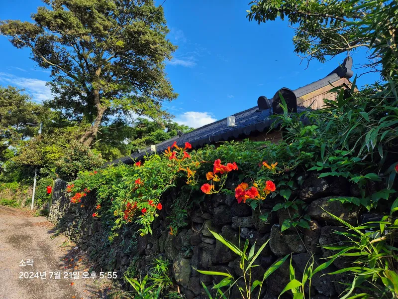 [Hallim, Jeju] A country stone house with a pretty yard and rafters 32