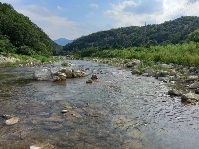 [강원 고성] 바다 산 계곡,산아래 2층에 있는 풍경화 속의 집,단란동 21