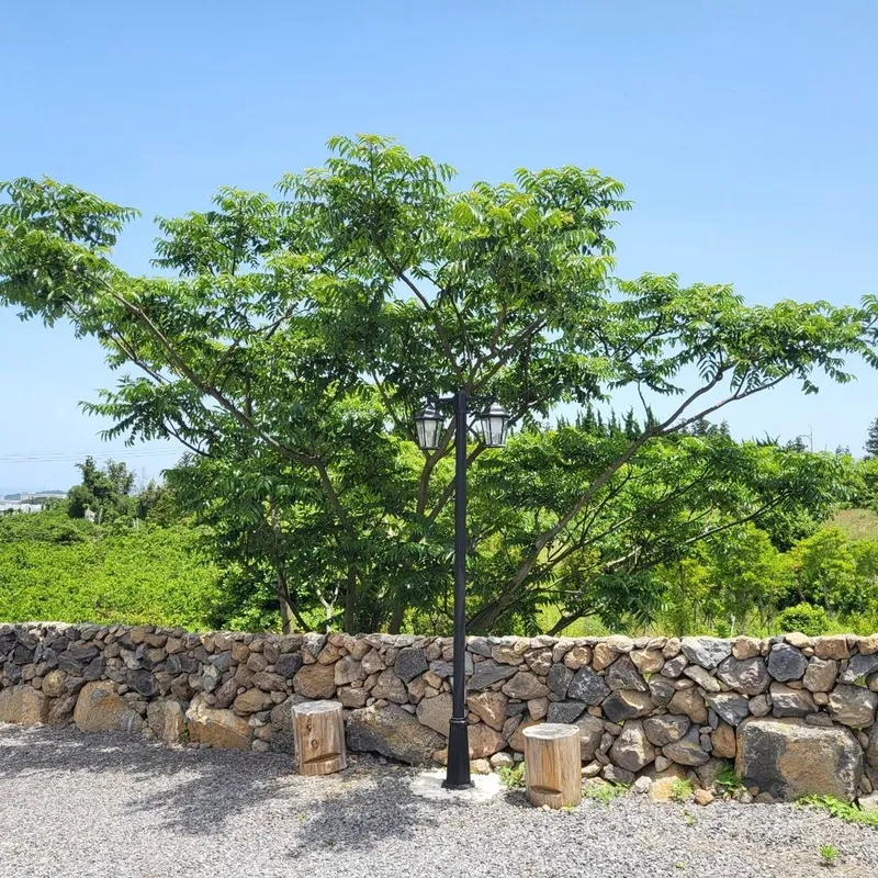 [제주 애월] 애월바다와 한라산이 보이는오션뷰 1층 독채 44