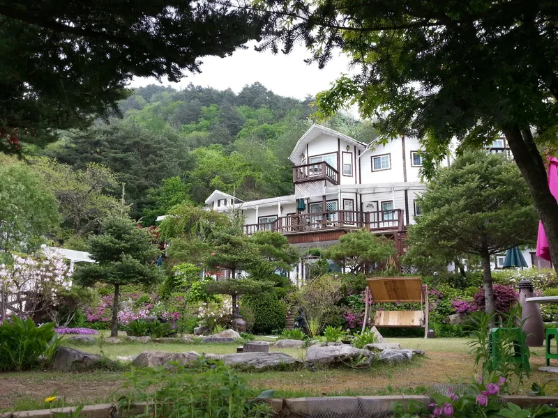[강원 평창] 금당산자락 금당계곡 청정 고지대 휴양펜션: 시리우스 8