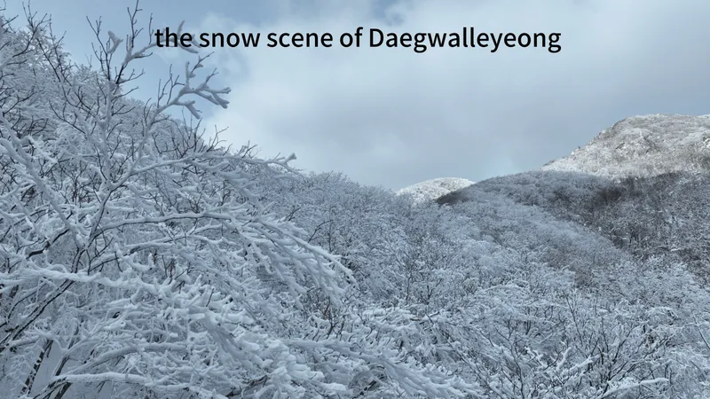 [Gangneung] A place where the sound of waves and the scent of coffee linger 48