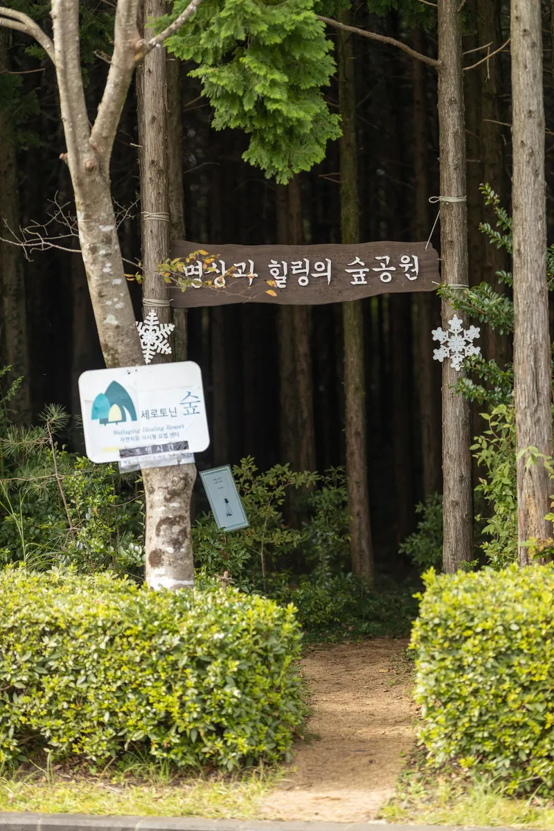 [서귀포 남원] 한라산 맑은 숲속에서의 힐링 11