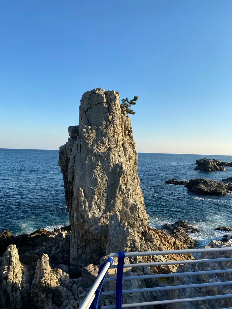 [Pohang] A cozy space with a private ocean view, perfect for working from home. 15