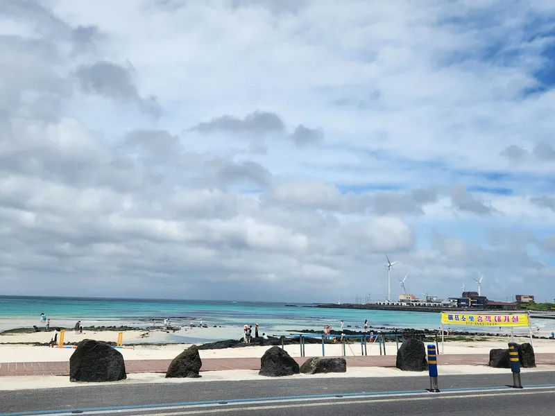 [Gujwa, Jeju] Duplex Separated One Room Field View #Far Sea View A 69