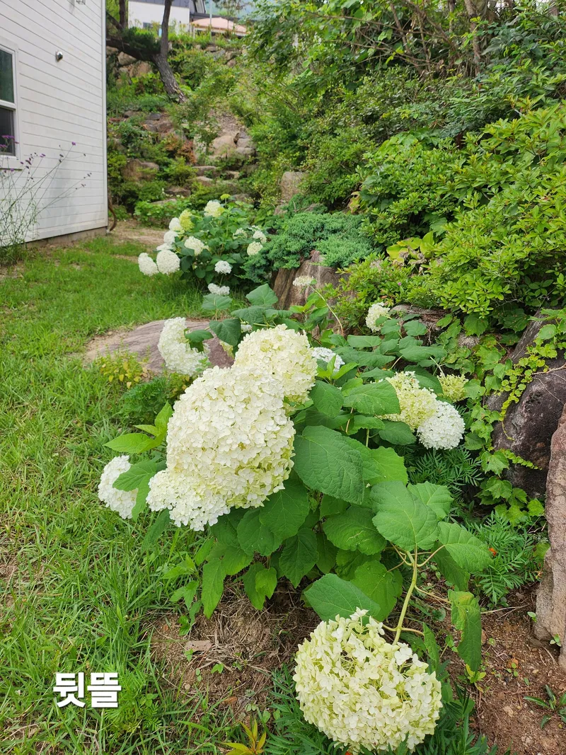 [경남 산청] 마당넓은  지리산뷰 독채+별채 벽난로 시골살기, 42