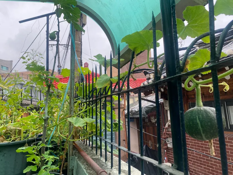 [Jongno, Seoul] A small and cozy two-room house, 5 minutes walk from Gyeongbokgung Station 21