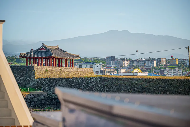 [제주 조천] 바다앞 사계절자쿠지 넓은마당 투룸 #제주돌담#평상 57