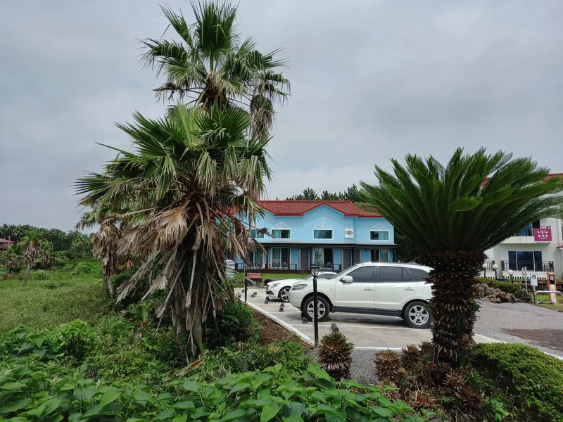 [Namwon, Seogwipo] Ocean View Blue House (Superior) Right in Front of the Beach 48