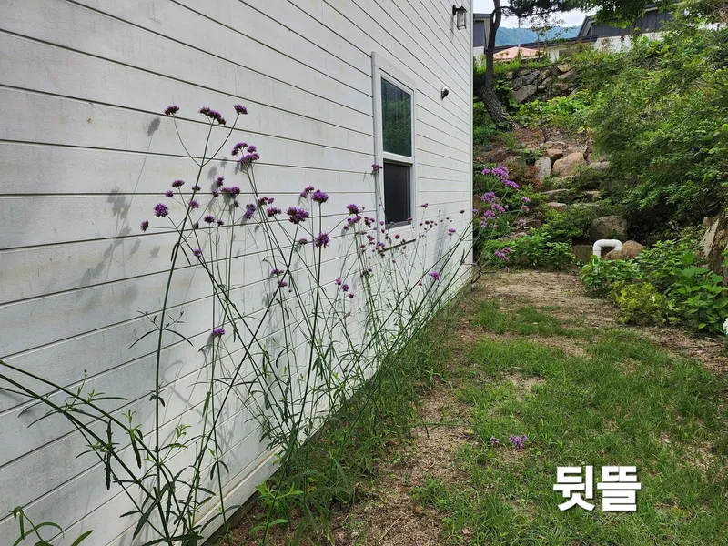 [경남 산청] 마당넓은  지리산뷰 독채+별채 벽난로 시골살기, 41
