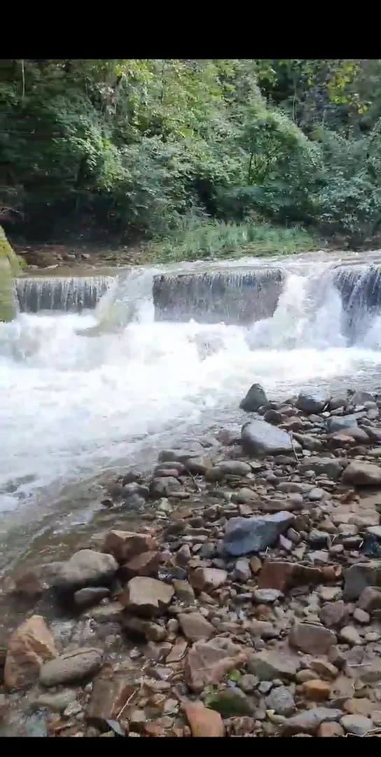 [Pyeongchang] Clean, independent streamside log cabin special pension Iris 7