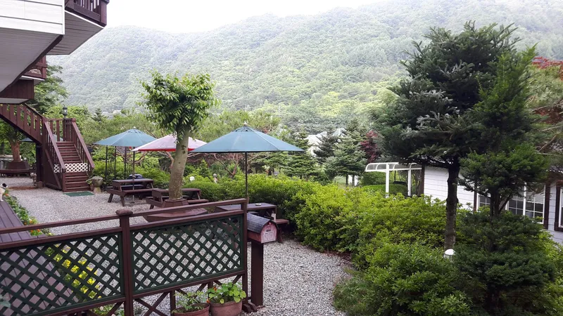[강원 평창] 금당산자락 금당계곡 청정 고지대 휴양펜션: 시리우스 9