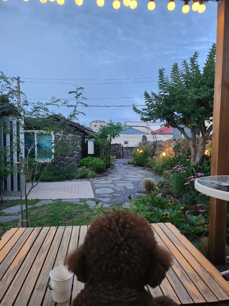 [서귀포 대정] 정원이 아름다운 프라이빗 독채 #애견동반#돌집#마당 165