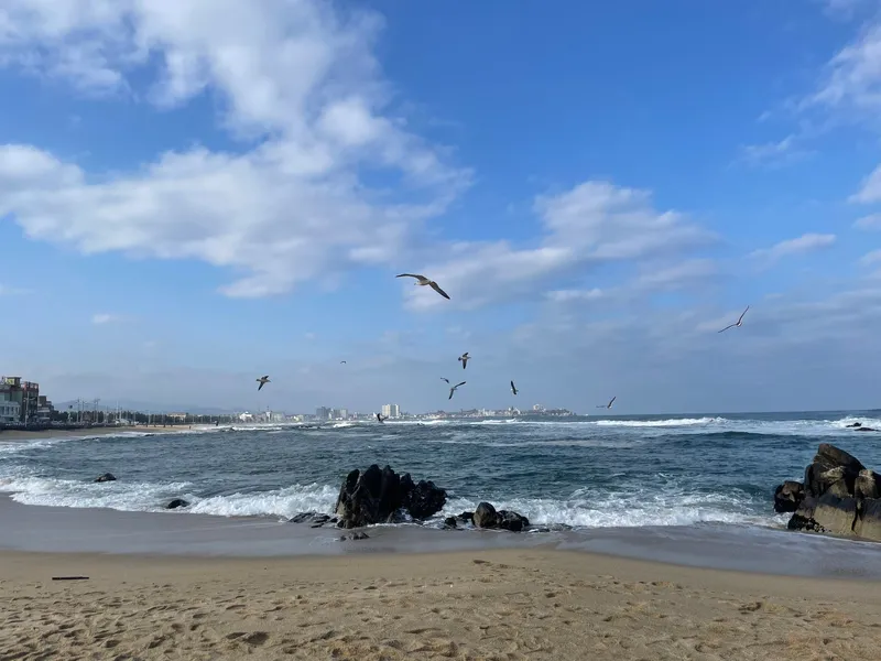 [Gangneung] 1 minute walk from Yeongjin Beach, emotional private house, lawn yard, jacuzzi 40