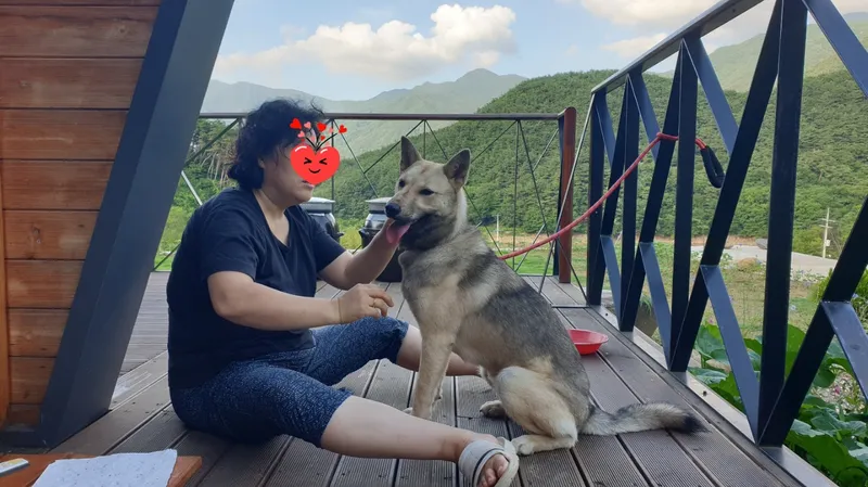 [전남 구례] 산동 수목원과 휴양림사이 숲속의 작은집 독채 마운틴 호수뷰 44