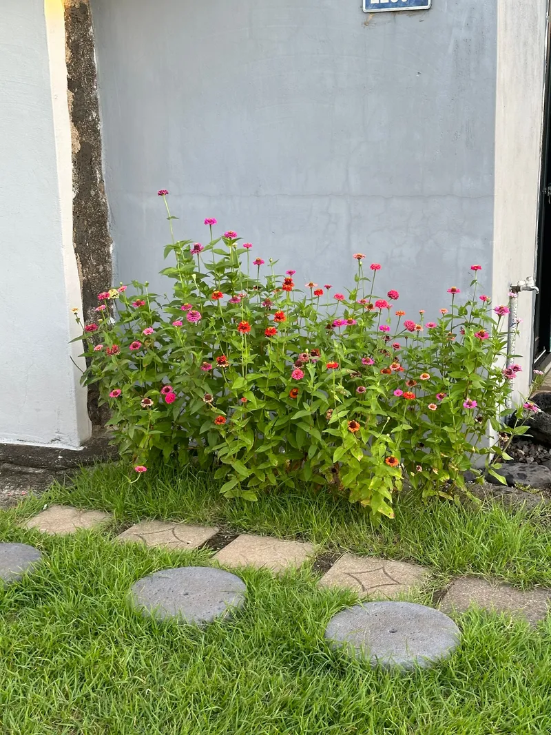 [Gujwa, Jeju] A guesthouse right in front of the sea with a view of Jongdal-ri Seongsan Sunrise Peak and Udo Island 18