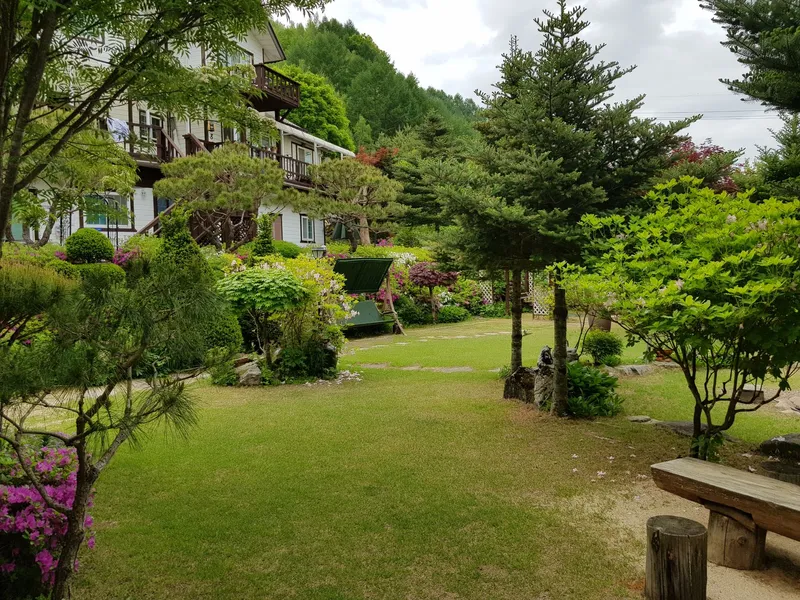 [Pyeongchang] Geumdangsan Mountainside Geumdang Valley Clean Highland Resort Pension: Azena 11