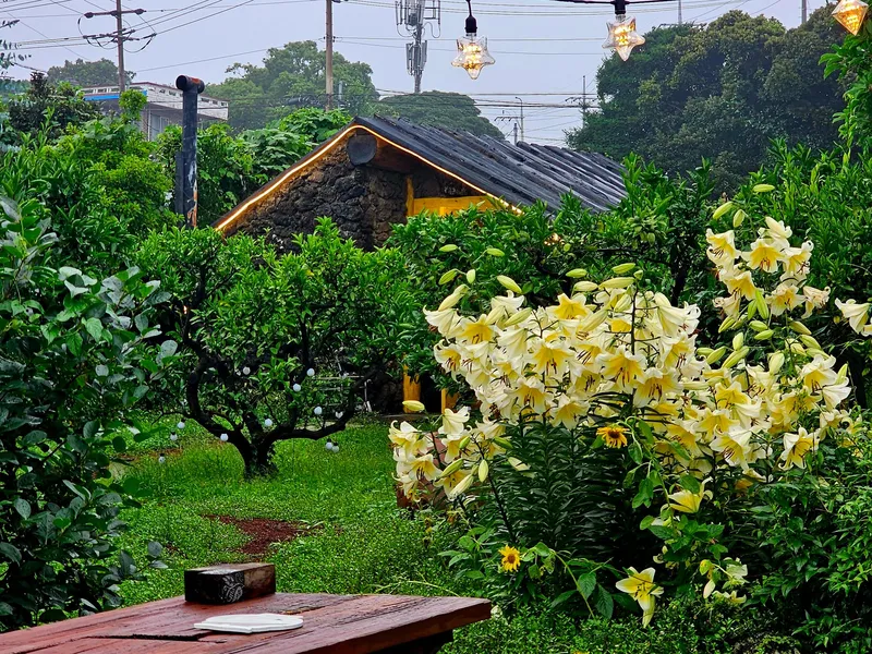 [Namwon, Seogwipo] Emotional accommodation #Independent house #3 min walk to the beach #Large garden #Jacuzzi #Barbecue in jar #Sesko 50