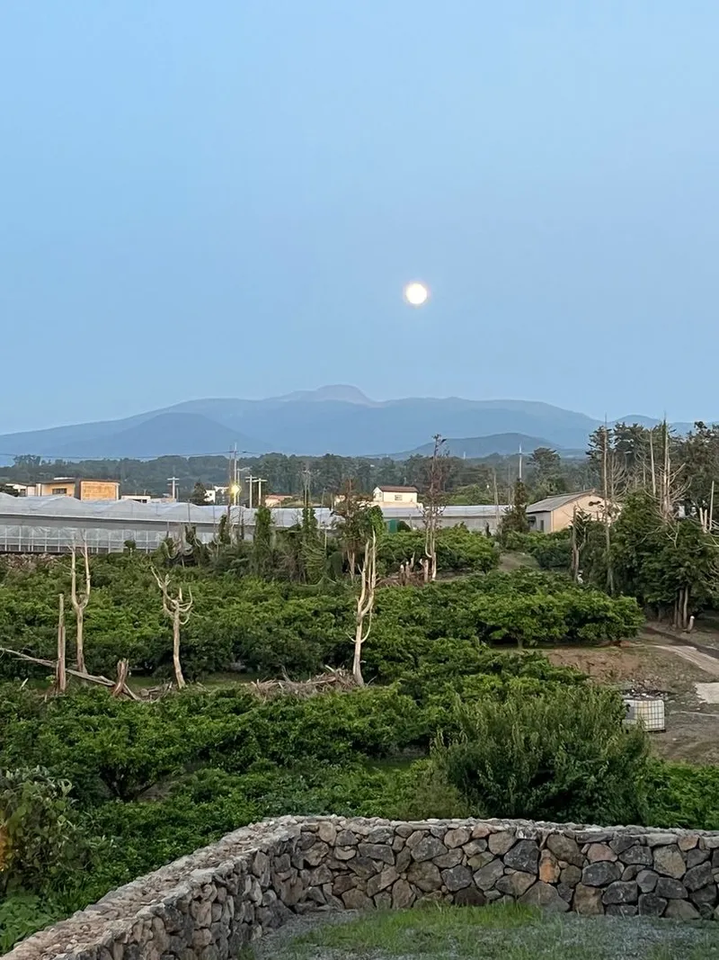 [제주 애월] 애월바다와 한라산이 보이는오션뷰 1층 독채 46