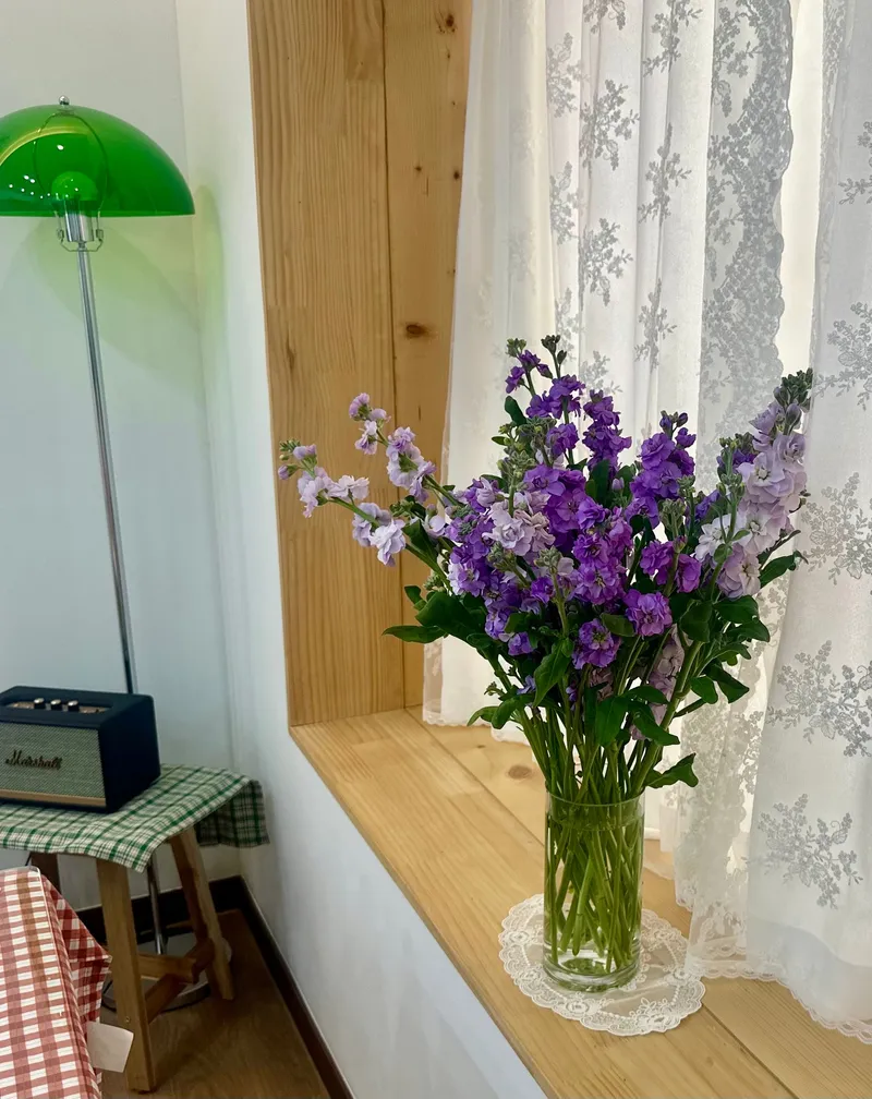 [제주 한림] 제주 늬커리 #겨울바당#올레15코스 32