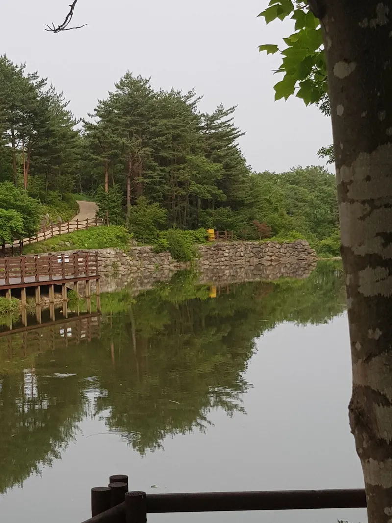 [Sokcho] Beach/Hot place 5-10 minutes, remodeled two-room #Parking #Relaxation #Trekking 34