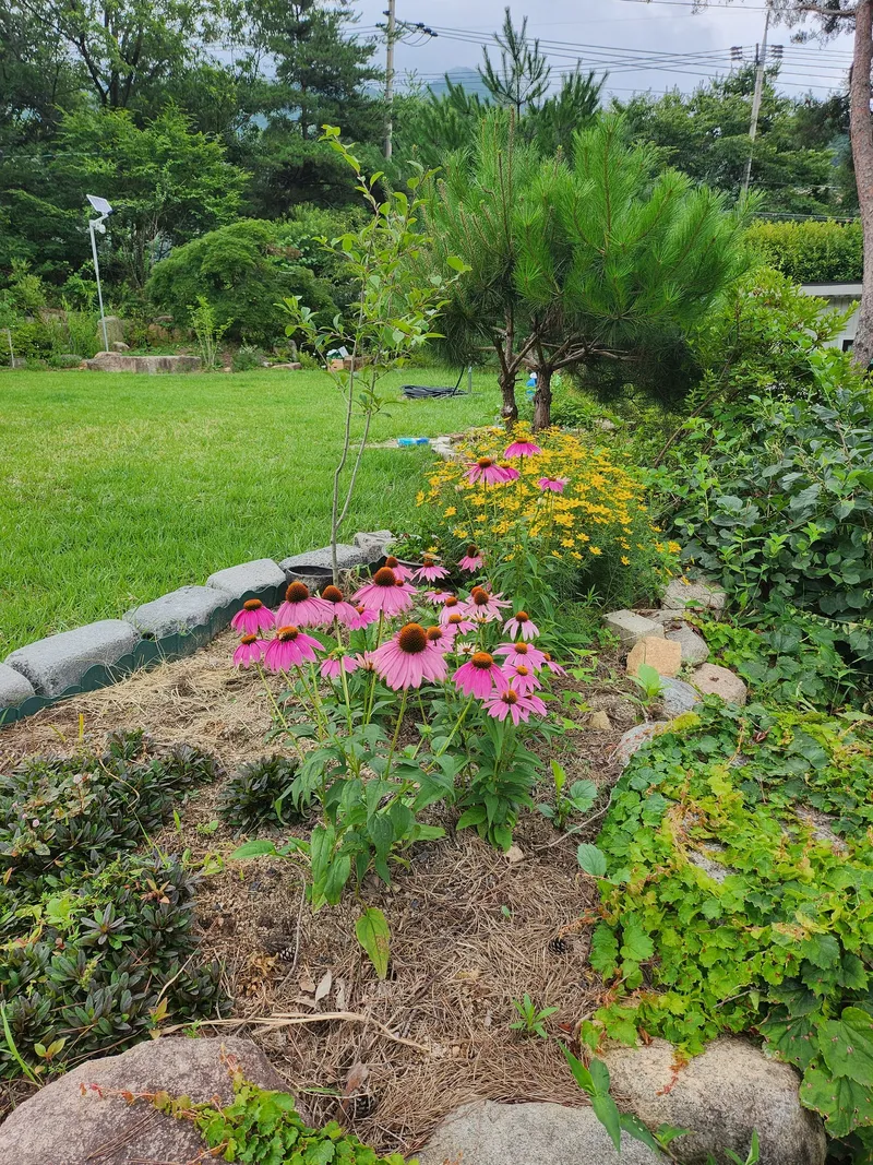 [경남 산청] 마당넓은  지리산뷰 독채+별채 벽난로 시골살기, 40
