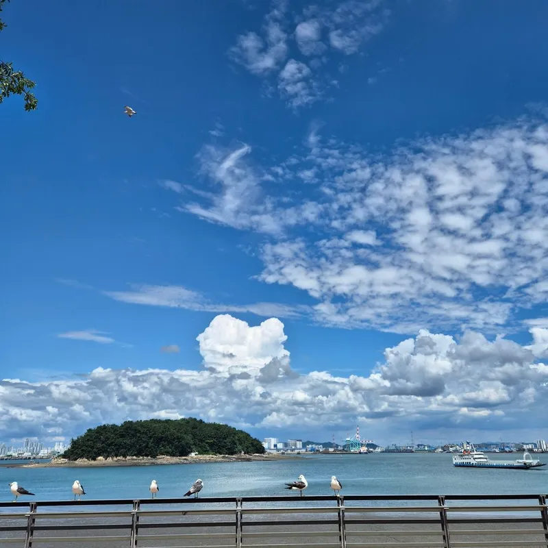 [Yeongjong, Incheon] Cool view / Peaceful ocean view. Close to airport (15 minutes away). Washer & dryer. 39