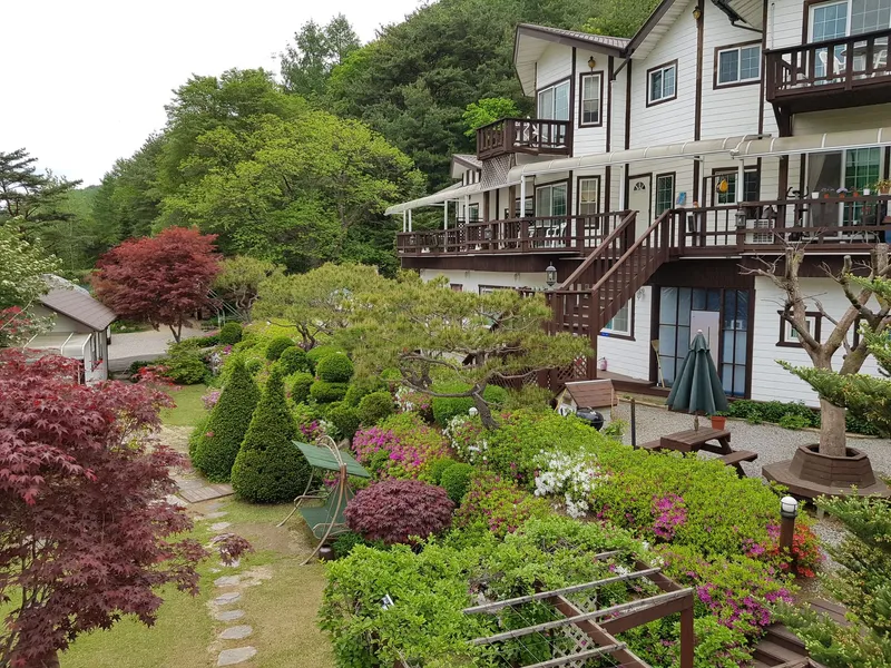 [강원 평창] 금당산자락 금당계곡 청정 고지대 휴양펜션: 시리우스 7