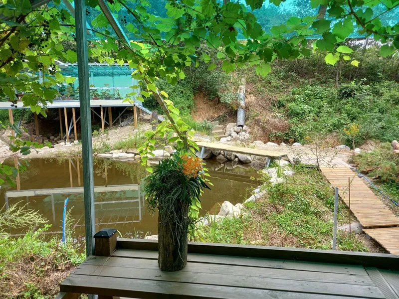 [강원 고성] 바다 산 계곡,산아래 2층에 있는 풍경화 속의 집,단란동 19