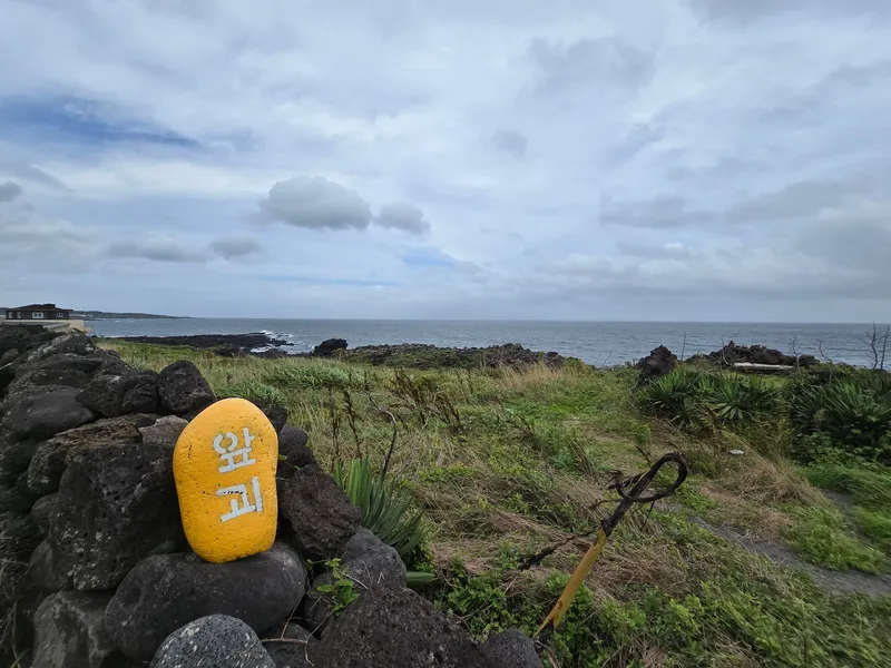 [Seongsan, Seogwipo][Seogwipo Shinsan] Accommodation with no utility bills and vehicle provided 200m from the beach 41