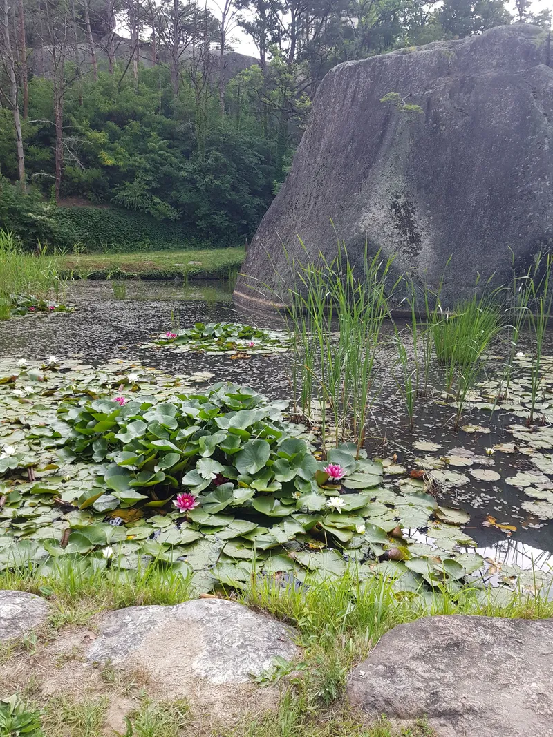 [Sokcho] Beach/Hot place 5-10 minutes, remodeled two-room #Parking #Relaxation #Trekking 36