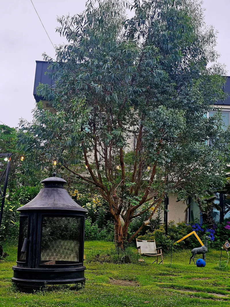 [Namwon, Seogwipo] Emotional accommodation #Independent house #3 min walk to the beach #Large garden #Jacuzzi #Barbecue in jar #Sesko 44