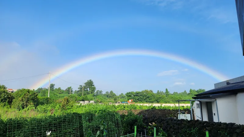 [Gujwa, Jeju] Duplex Separated One Room Field View #Far Sea View A 68