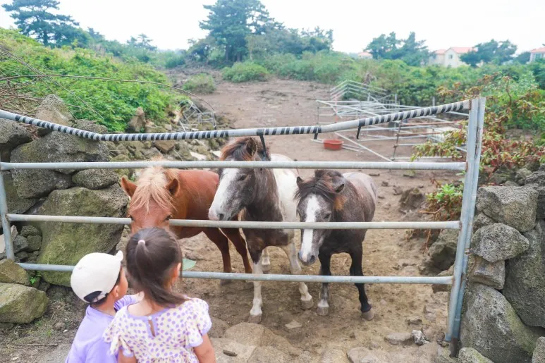 [제주 한림][제주 협재] 아이들이 좋아하는, 바닷가 근처 위치, 투룸형 스테이 B 16