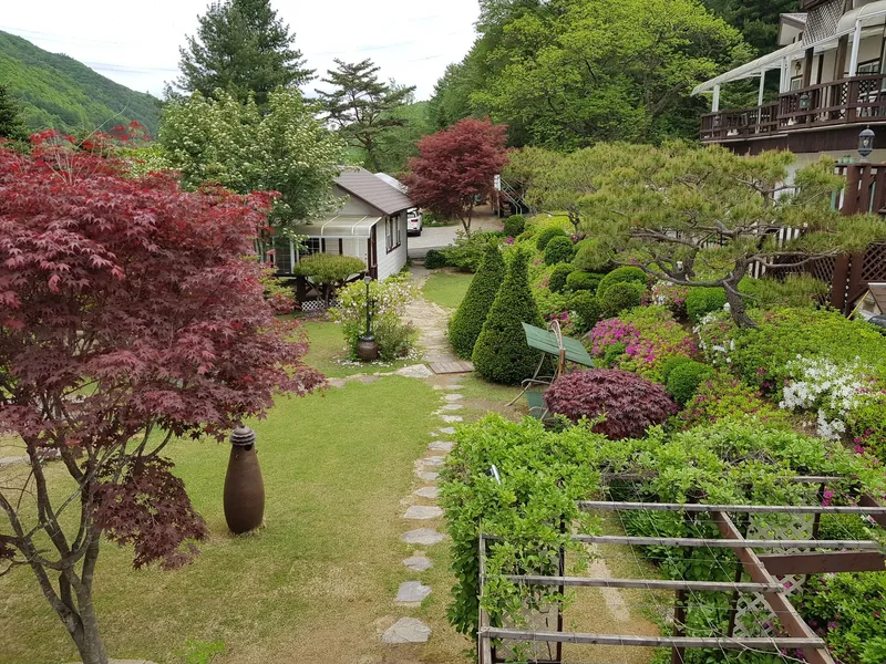 [강원 평창] 금당산 자락 금당계곡 고청정 지대 휴양펜션: 프로시온 13