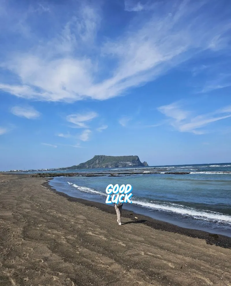 [Seongsan, Seogwipo] Sunrise Peak Penthouse Ocean View Two-Room Duplex Residence 47
