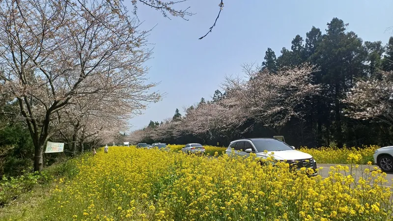 [제주 애월] 애월해안도로 투룸 독채 #가족형 23