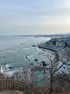 [강원 강릉] 주문진 등대마을언덕 단독주택 21