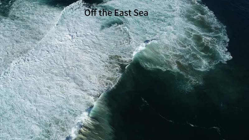 [Gangneung] A place where the sound of waves and the scent of coffee linger 43