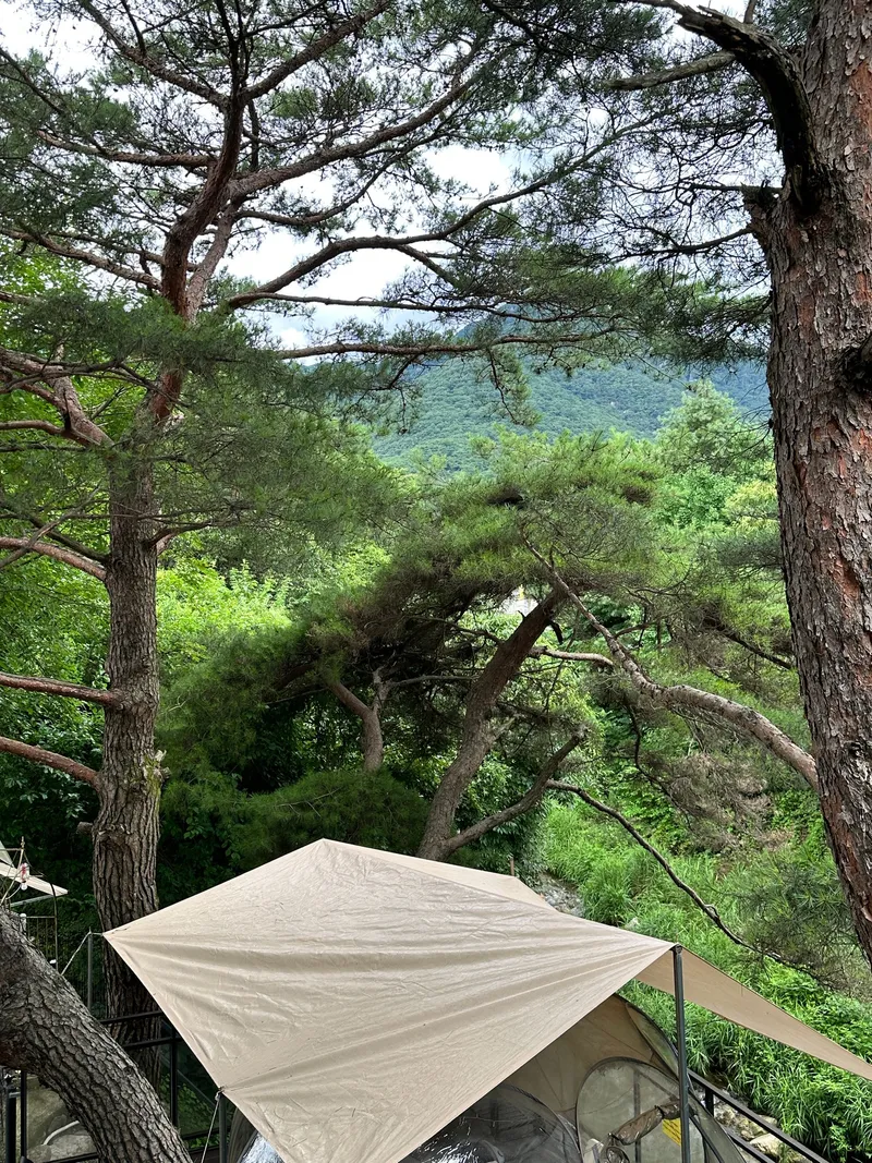 [경기 양평] 계곡이 보이는 투룸 애견동반 가능 6