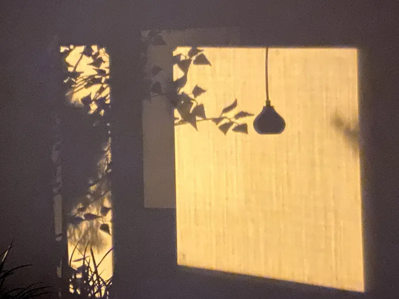 [Suseong, Daegu] Perfect Rest. Pinterest Accommodation Moonlight Tree 2